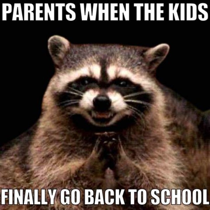13 Funny Back-to-School Memes Parents and Teachers Will Totally Understand