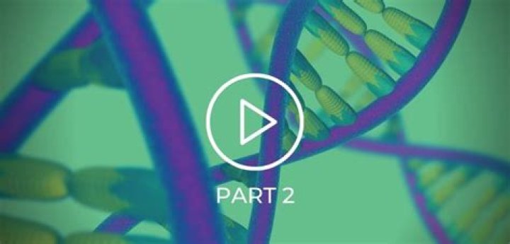 A Masterclass In Training And Genetics