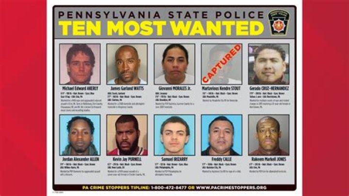 Bam Margera Is on the Run in Pennsylvania and Wanted by Police in the State