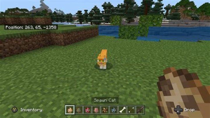 Cats Will Help Ward Off Creepers in 'Minecraft' Here's How to Tame One