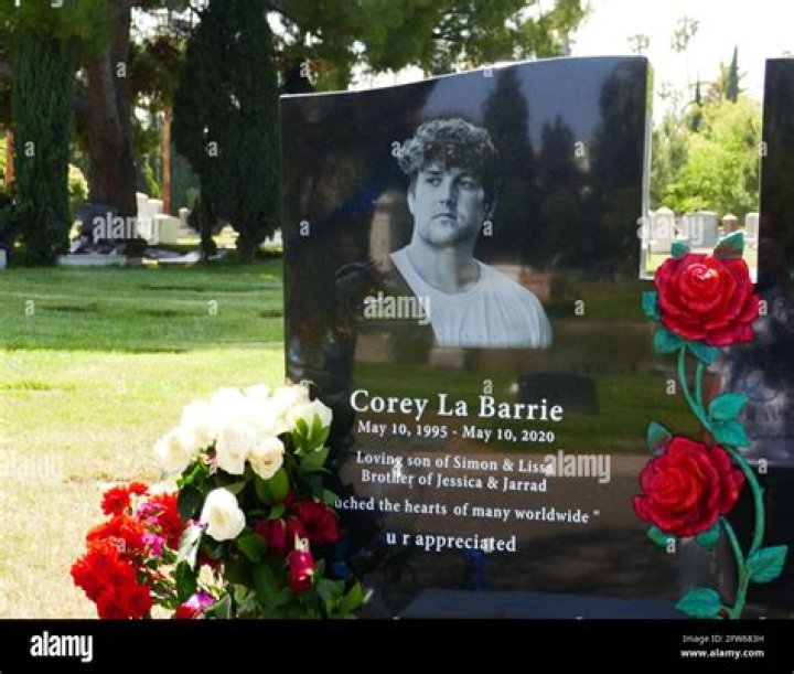 Corey La Barrie's Fans Are Changing Their Profile Pictures to Blue in His Memory