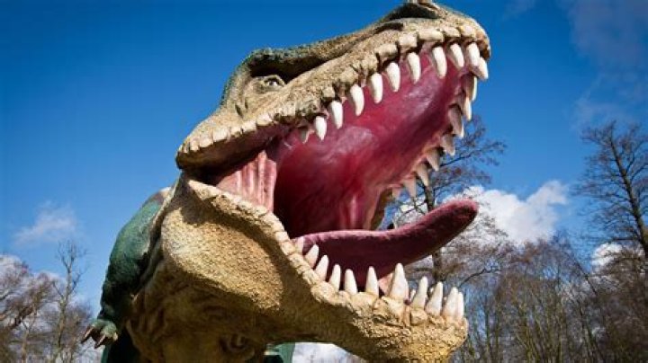 Explore The Fascinating World Of Louis Eisner