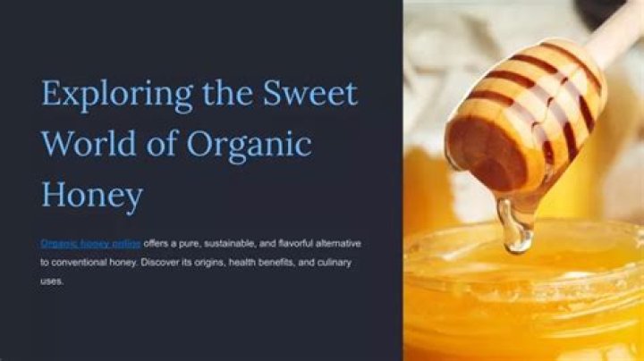 Exploring The Sweet World Of Forrest Sweet