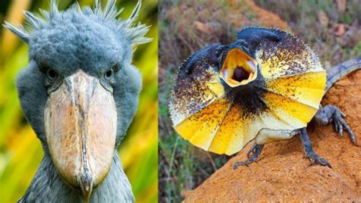 Fan Finds "Twisted 'Lion King' Easter Egg" That's Been Under Our Noses for Decades