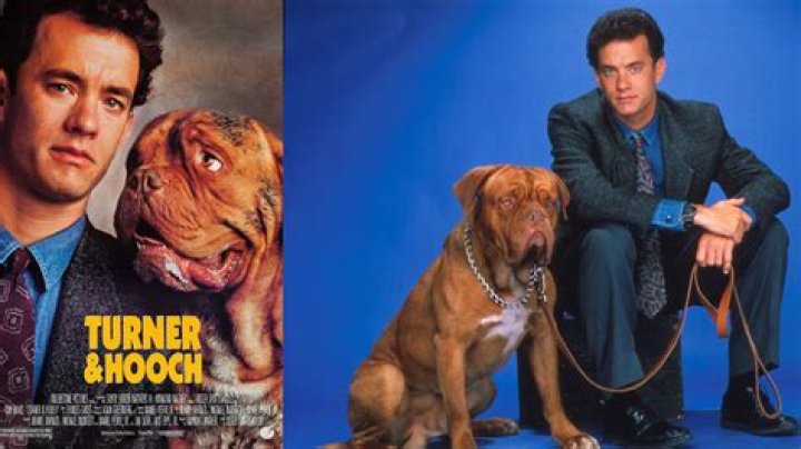 Hooch Is the Same Dog Breed in Both the TV and Film Versions of 'Turner & Hooch'