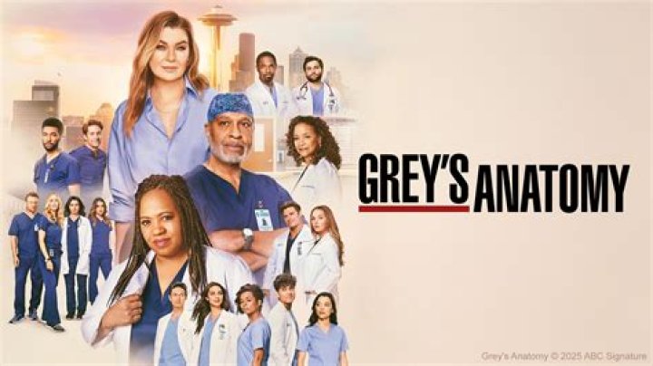 Jesse Williams Will Appear on 'Greys Anatomy' in Season 19 Is He Back for Good?
