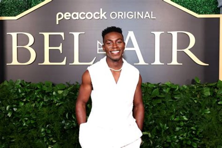 Olly Sholotan's Carlton in 'Bel-Air' Isn't So Different From Alfonso Ribeiro's Take on the Character