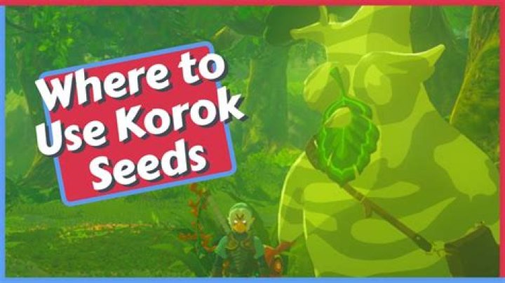 There Are 1,000 Korok Seeds in 'TotK' What Happens When You Find All of Them?