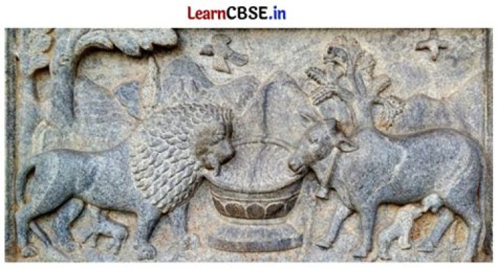 Unveiling Madonna's Ethnic Roots: Exploring Her Cultural Heritage