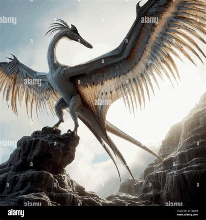 Unveiling The Rise Of Tiernan Cowling: Insights And Discoveries