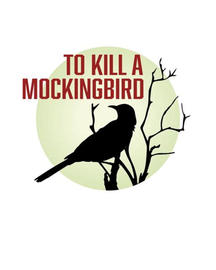Why Page 174 of 'To Kill a Mockingbird' Is Now a Meme: Details Inside